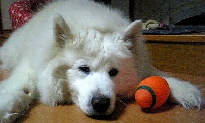 b0073110_22553047.jpg