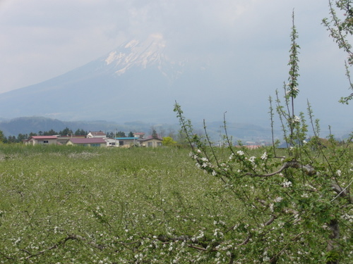 d0087418_0343134.jpg
