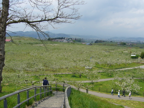d0087418_0373222.jpg