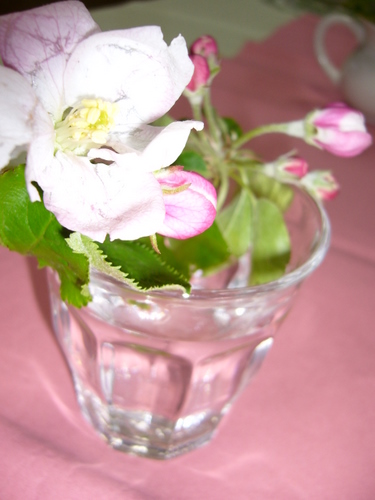 d0087418_1612750.jpg