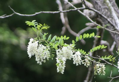 c0104227_8565395.jpg