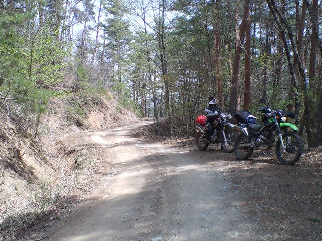 e0063632_0364959.jpg