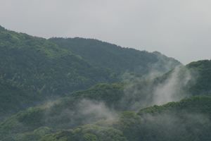 a0097735_23335183.jpg