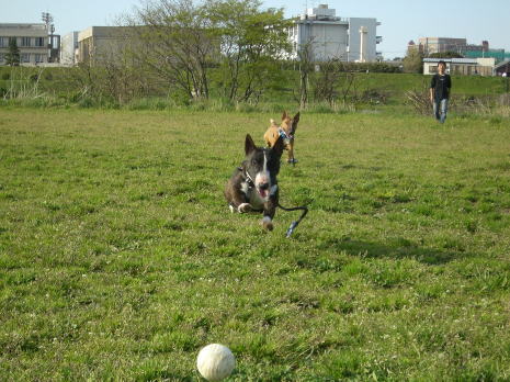 f0094843_10553167.jpg