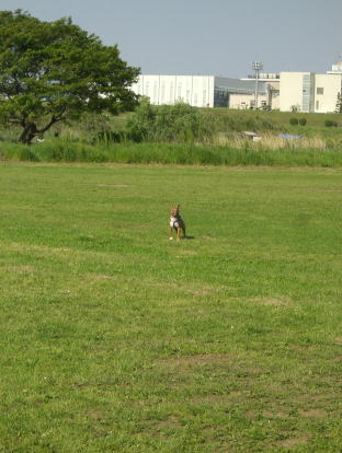 f0094843_1129445.jpg