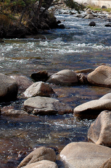 d0008146_243795.jpg