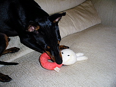 c0123149_21351657.jpg