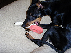 c0123149_21355794.jpg