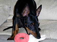 c0123149_2136372.jpg