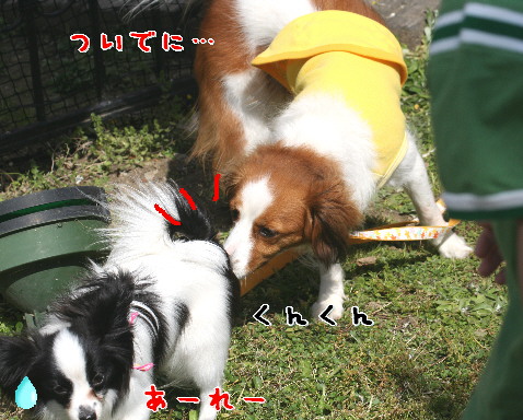 d0013149_8551740.jpg