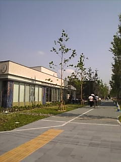 c0069552_12345557.jpg