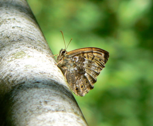 d0091754_19574560.jpg