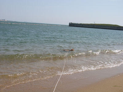 b0050356_5371176.jpg