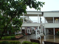 c0108460_164356100.jpg