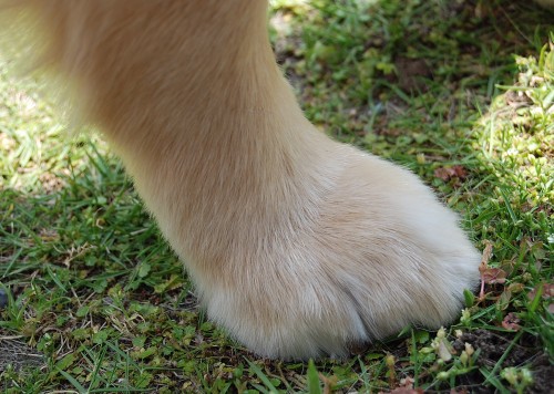e0020166_7584245.jpg