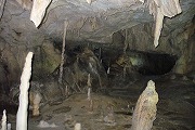f0059671_116193.jpg