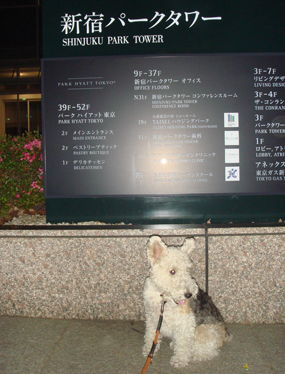 b0091373_0273586.jpg