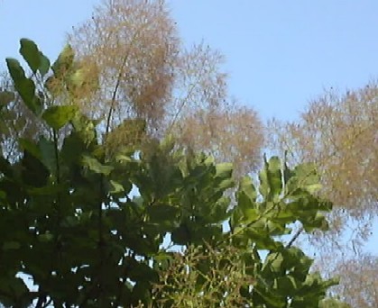 f0039281_15282145.jpg