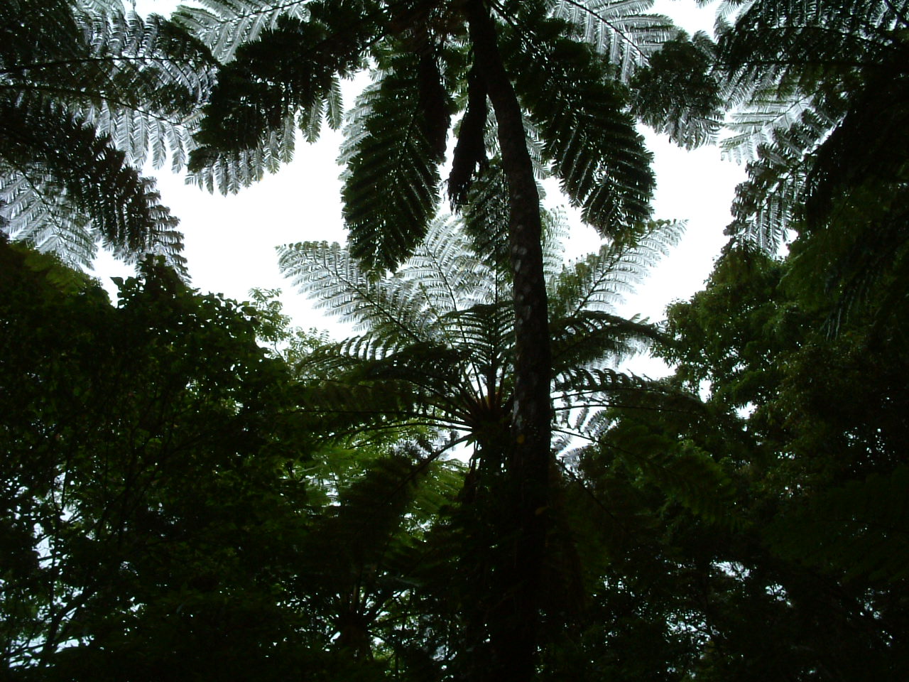e0115083_1331981.jpg