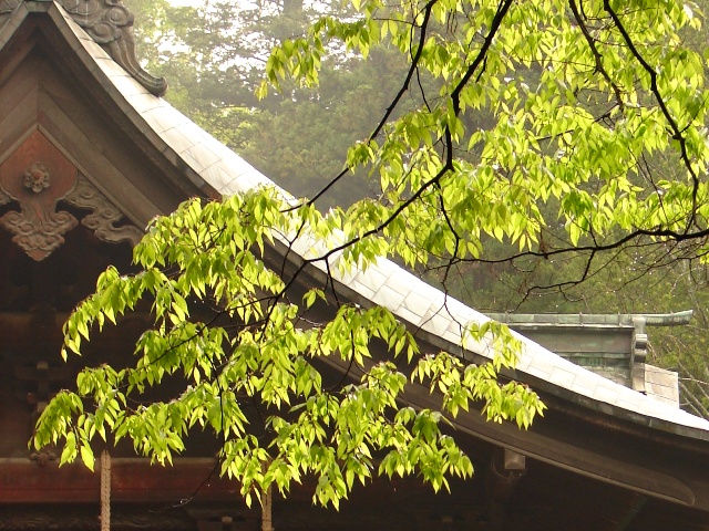 b0011185_22513432.jpg