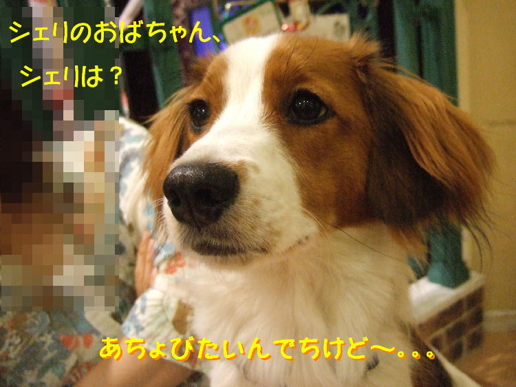 c0075585_8152934.jpg