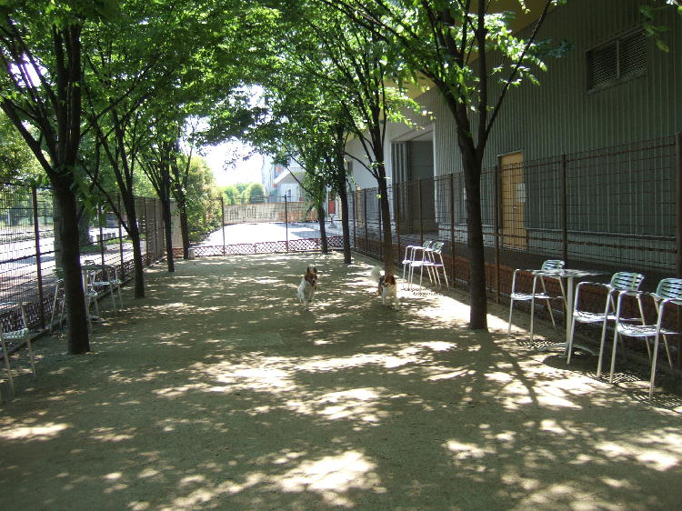 c0075585_8223191.jpg