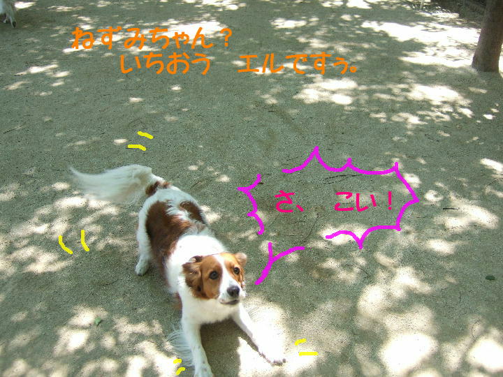 c0075585_8283812.jpg