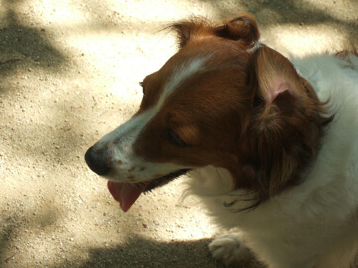 c0075585_8343090.jpg