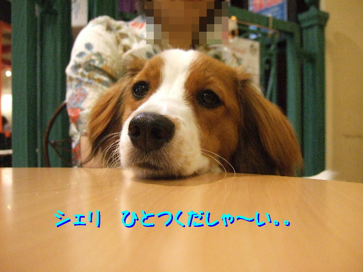 c0075585_84034100.jpg