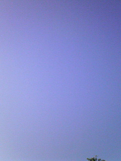 c0082785_738795.jpg
