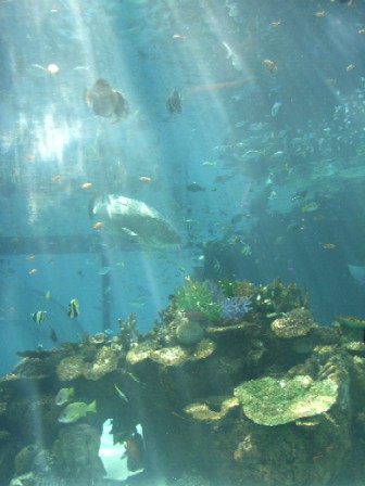 a0005394_251482.jpg