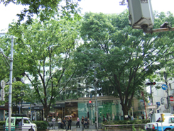 d0100095_20284476.jpg