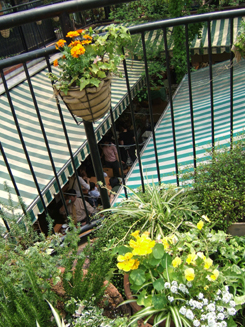 d0100095_2041189.jpg