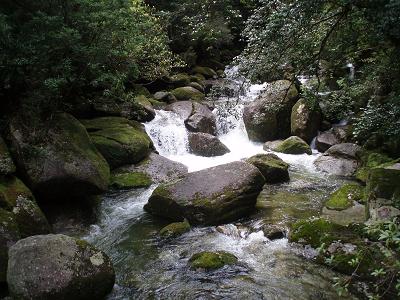 e0106098_235141.jpg