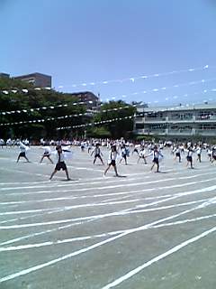 a0021608_13415543.jpg