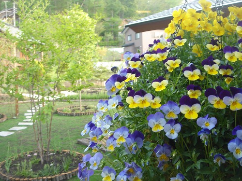 e0049409_2147515.jpg