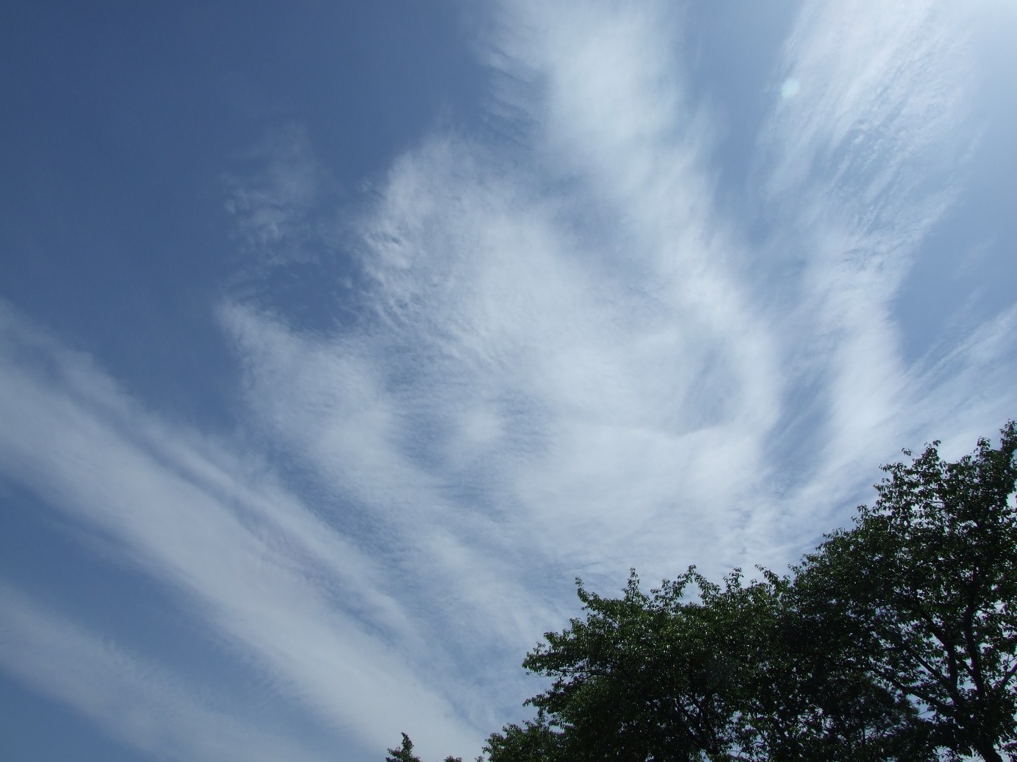 b0061010_1445276.jpg