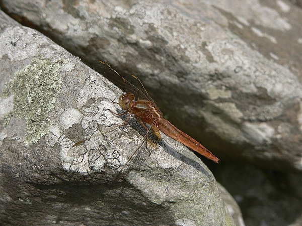 e0002314_2001353.jpg