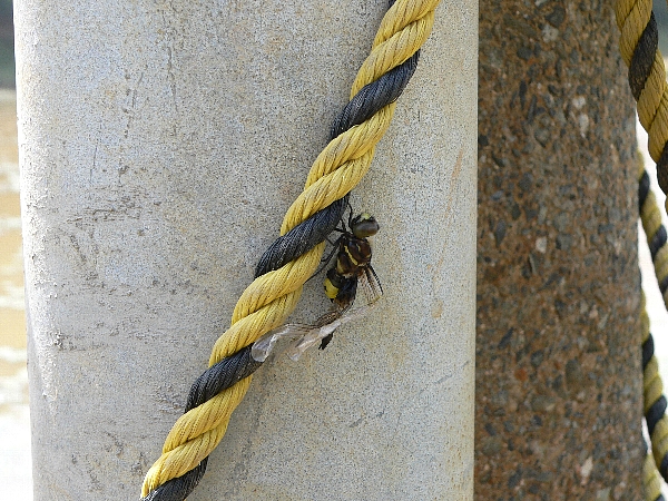 e0002314_20134864.jpg