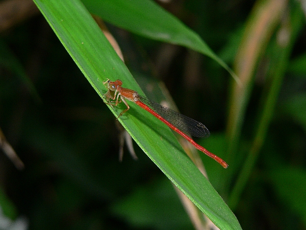 e0002314_20155893.jpg