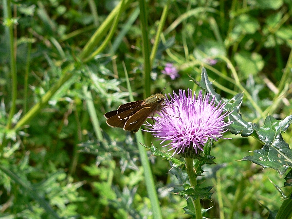 e0002314_2044122.jpg