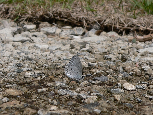 e0002314_2051523.jpg
