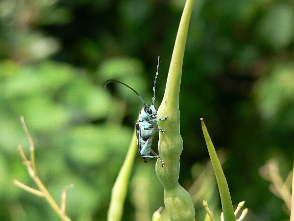 e0002314_2054930.jpg