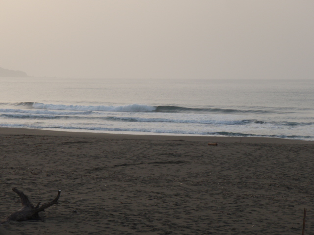 f0116314_2012850.jpg
