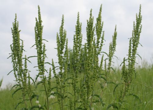 c0104227_1436255.jpg