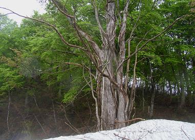 f0118332_0404672.jpg