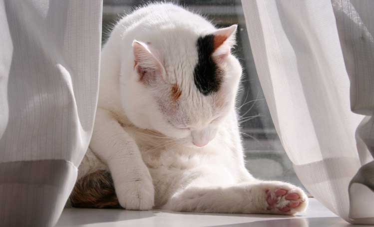 a0009035_97247.jpg