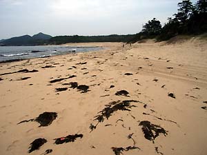 c0019338_1513429.jpg