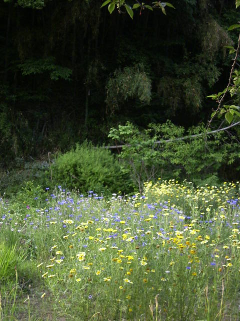 f0127441_1091382.jpg