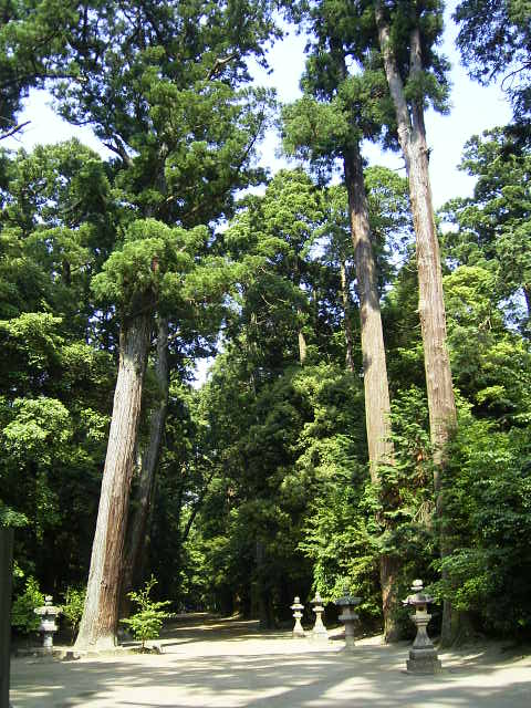 f0127441_9445016.jpg